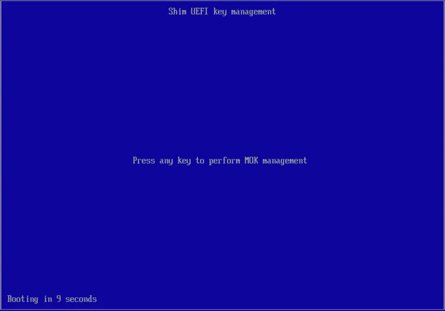 Disable UEFI secure boot