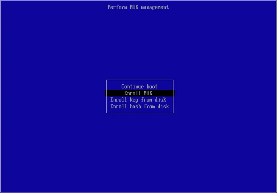Disable UEFI secure boot