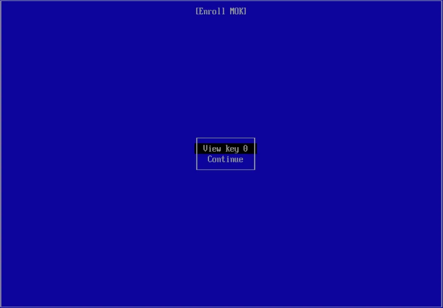 Disable UEFI secure boot